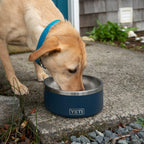 Dog Bowl