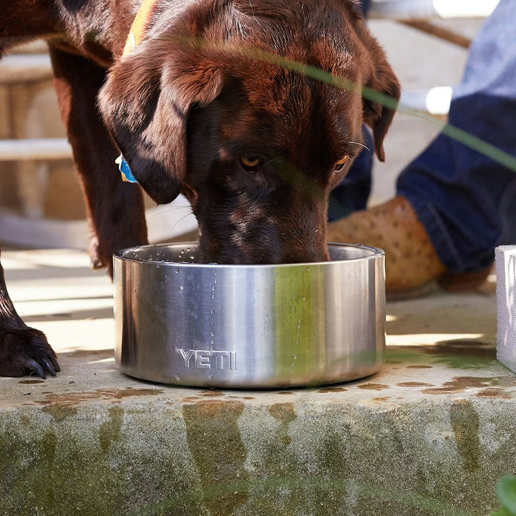 Dog Bowl